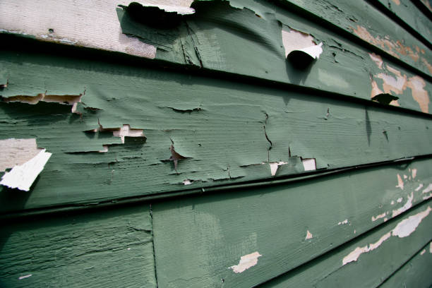 Best Commercial Junk Removal  in Nellieburg, MS